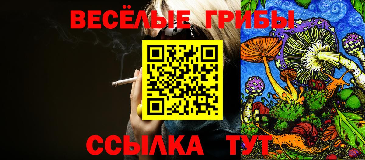 Галлюциногенные грибы прущие грибы Энгельс