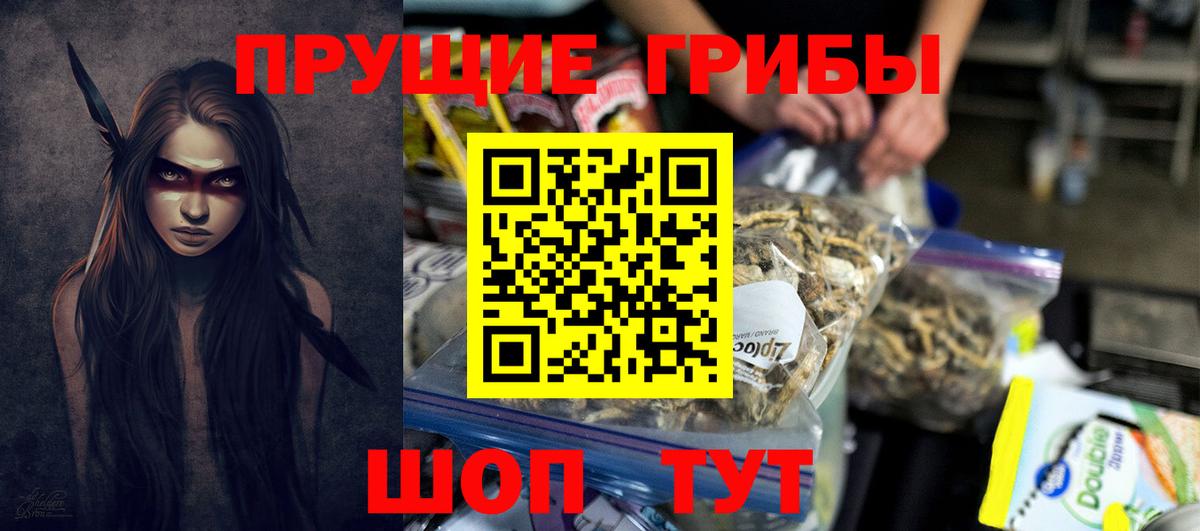 Энгельс  Псилоцибиновые грибы мухоморы  Вход с VPN 